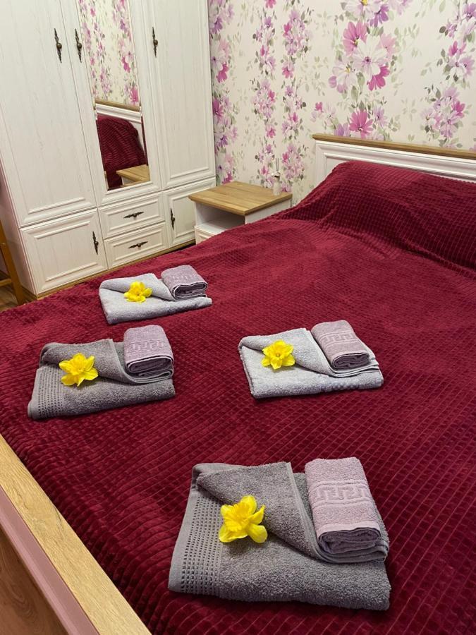 Затишна 2-х кімнатна квартира -ДІМ Каменец-Подольский Экстерьер фото